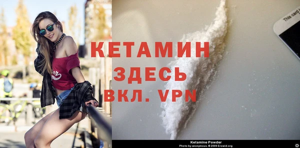 стаф Богданович