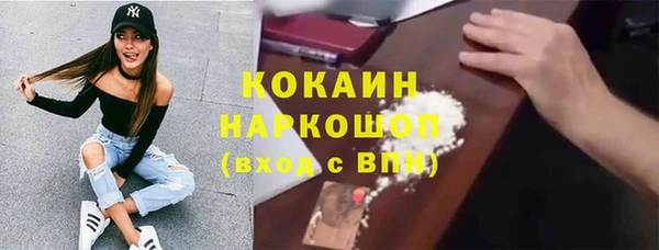 стаф Богданович