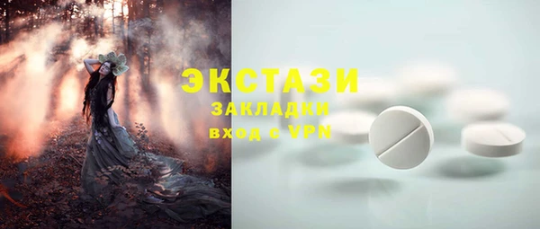 стаф Богданович