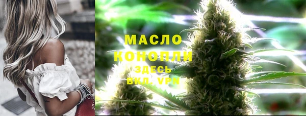 стаф Богданович
