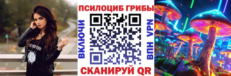 Псилоцибиновые грибы ЛСД Сретенск